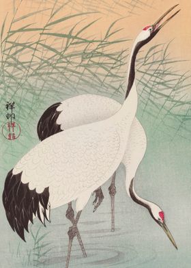 Ohara Konso Stork