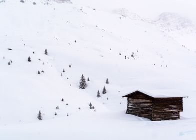 Lonely Cabin