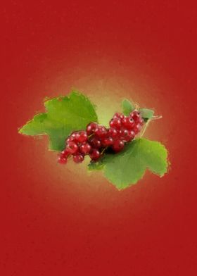 Red Currant