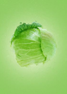 Cabbage