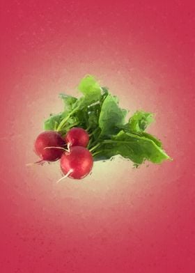 Radish