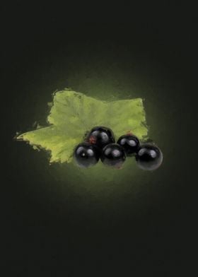 Black Currant 