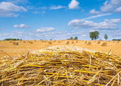 Bale of straw