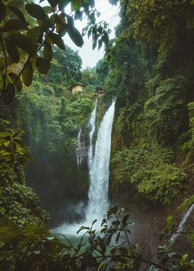 Asian Forest Waterfall