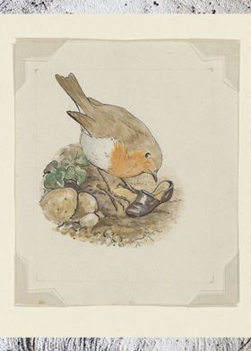 Vintage Robin illustration