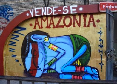 Amazonia for Sale