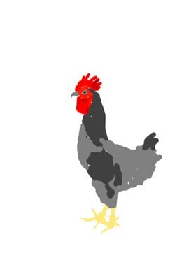 Red head Rooster