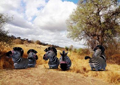 Wild life in Tanzania