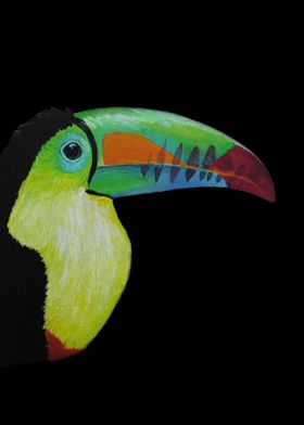 Toucan