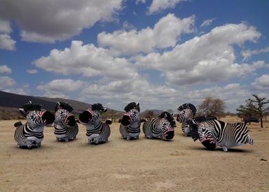 Wild life in Tanzania