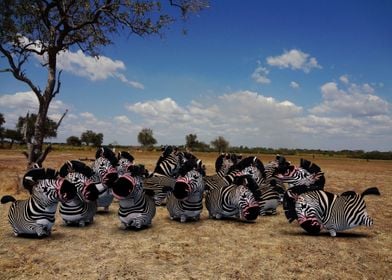 Wild life in Tanzania