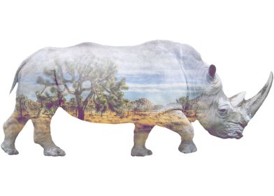 The White Rhinoceros 