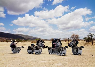 Wild life in Tanzania