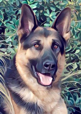 German shepherd