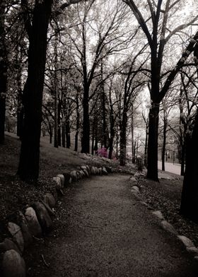 Forest of Flowers