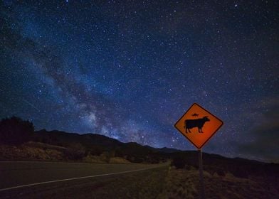 UFO Crossing