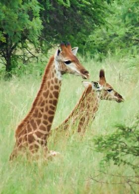 Baby giraffe tower