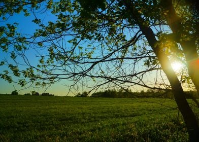 Farm Sunrise