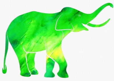 Elephant green background