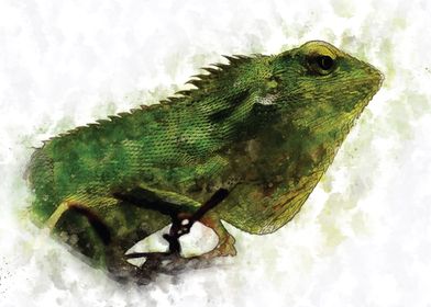 Green Iguana Watercolour