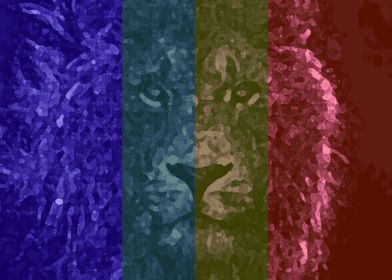 Lion2