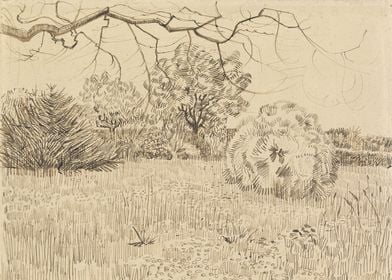 Park with Shrub 1888