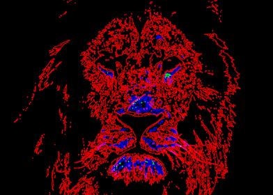 Lion4