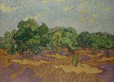 Olive Trees1889