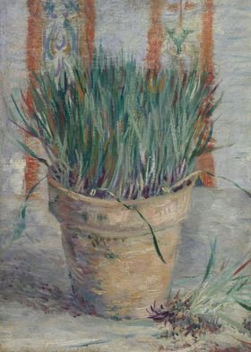 Flowerpot with Chives 188