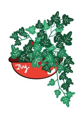 IVY plant