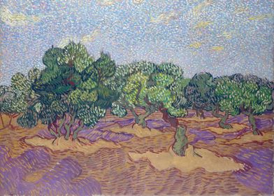 Olive Grove 1889 03