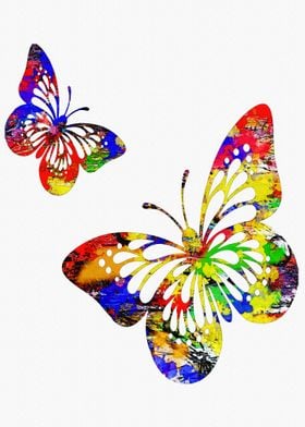 Butterfly flies together