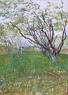 Orchard in Bloom 1888