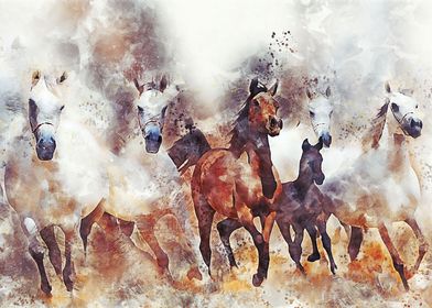 Running Horses Watercolor