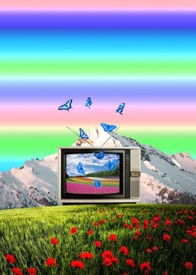 television