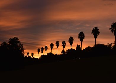 Silhouette of gold  