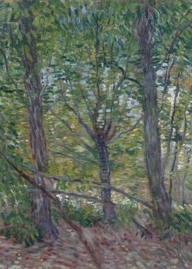 Trees 1887