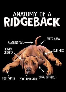 Rhodesian Ridgeback