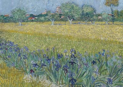 View of Arles with Irises