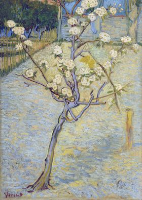 Pear Tree in Blossom 1888