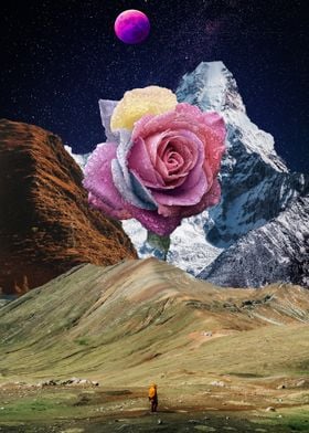 Flower mountain