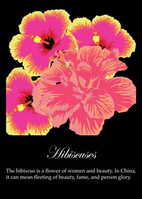 Hibiscus poster