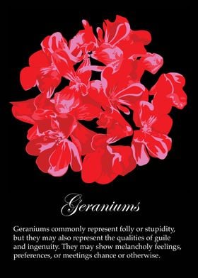 Geraniums poster