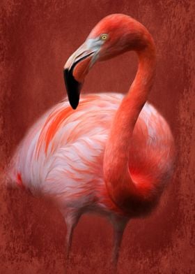 Flamingo with Texture