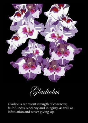 Gladiolus Flowers poster