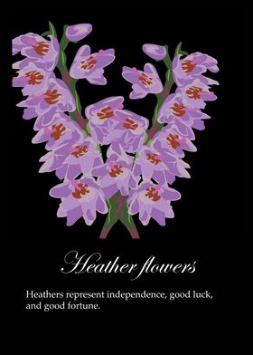 Heather flowers poster