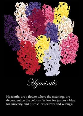 Hyacinths poster