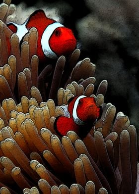 beauty clownfish