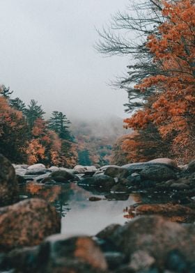 Lake of leaves 