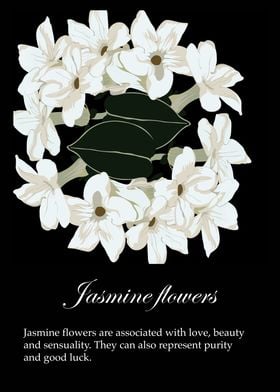 Jasmine flowers poster